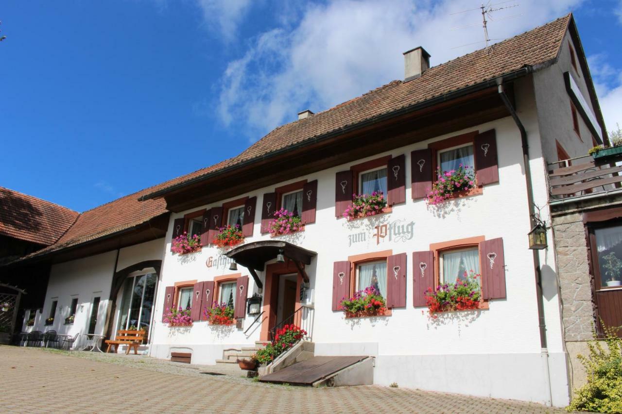 Hotel Landgasthof Zum Pflug Kleines Wiesental Екстериор снимка