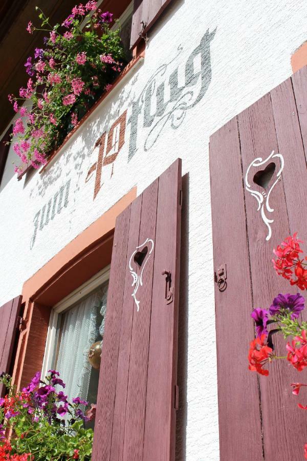 Hotel Landgasthof Zum Pflug Kleines Wiesental Екстериор снимка